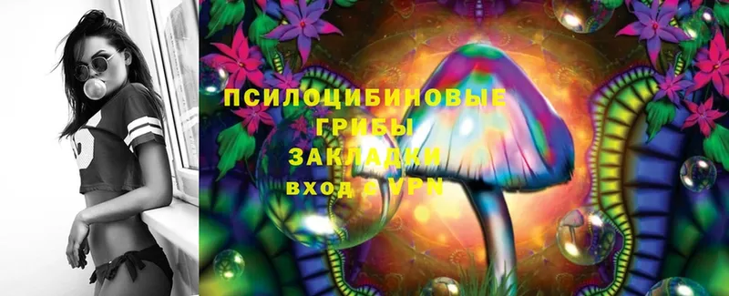 Галлюциногенные грибы MAGIC MUSHROOMS  даркнет сайт  Аксай 